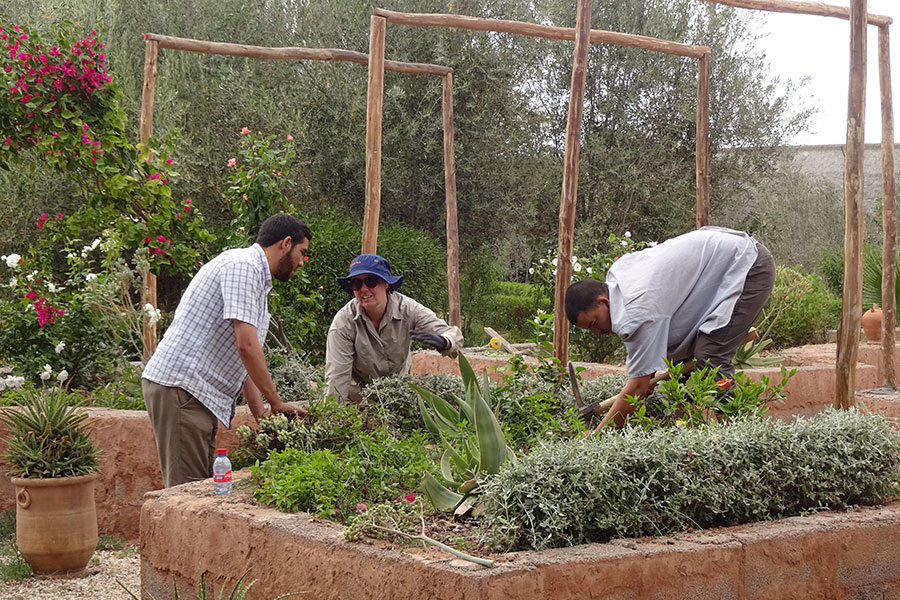 The Anglo-Moroccan Shakespeare Garden Project at Marrakech University in Morocco