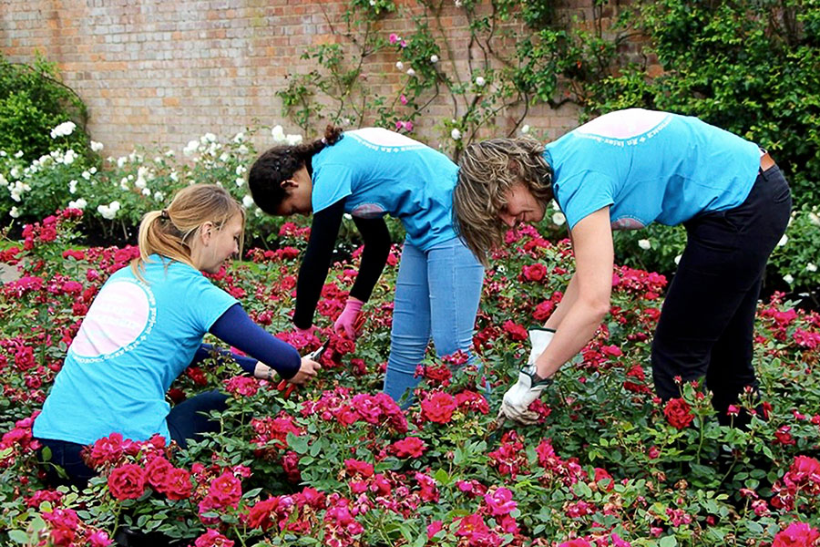 The REEP McLaren Scholarship at Hever Castle in England