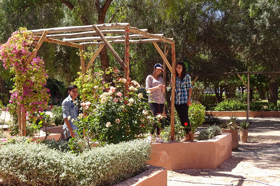 The Anglo-Moroccan Shakespeare Garden Project at Marrakech University in Morocco