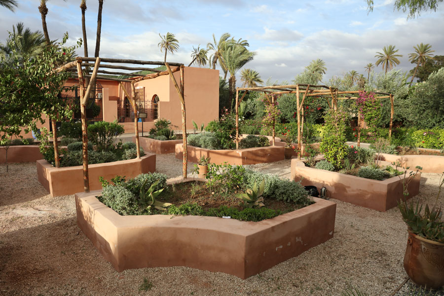The Anglo-Moroccan Shakespeare Garden Project at Marrakech University in Morocco