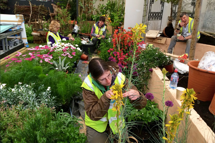 The Anglo-Moroccan Shakespeare Garden Project at the RHS Chelsea Flower Show in London (2015)