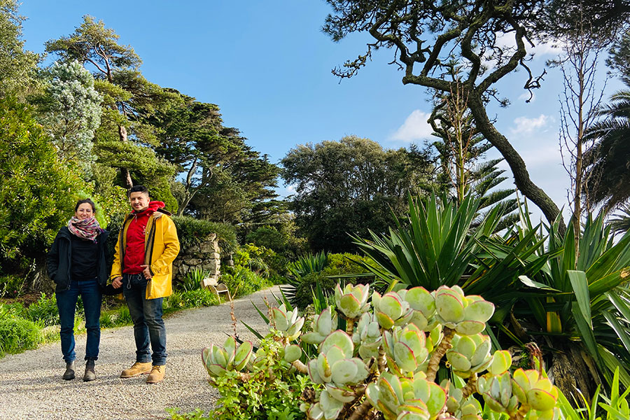 The REEP McLaren Scholarship at Tresco Abbey Gardens in the Scilly Isles in Britain