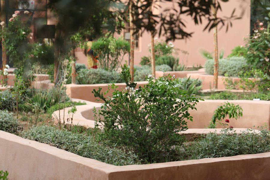 The Anglo-Moroccan Shakespeare Garden Project at Marrakech University in Morocco