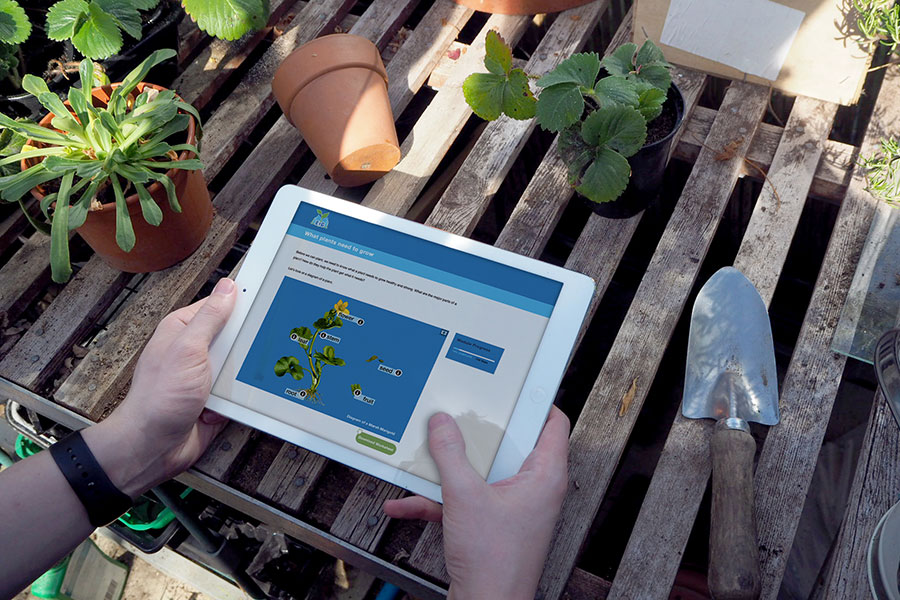 An online lesson from the English Through Gardening project