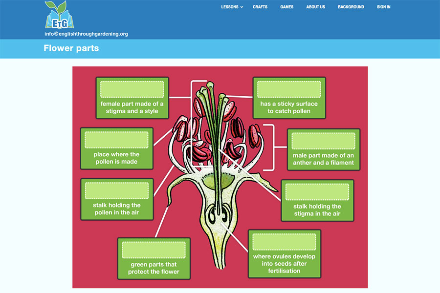 An online lesson from the English Through Gardening project