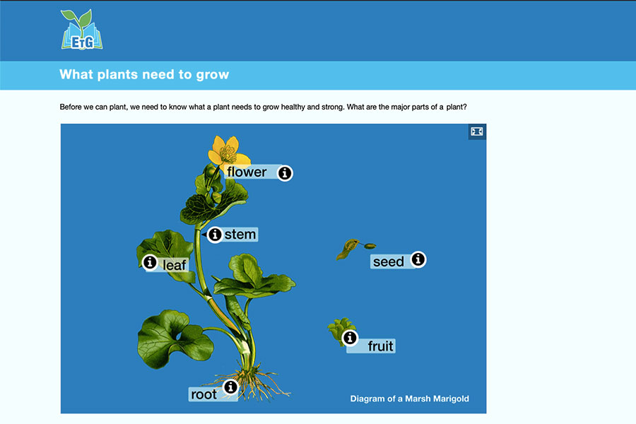 An online lesson from the English Through Gardening project